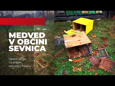 Najbolj brano na ePosavje.com - Posavski tednik 435