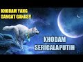 Ciri Orang Yang Memiliki Khodam Serigala Putih
