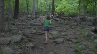 Lily Two (Matt Pond PA)