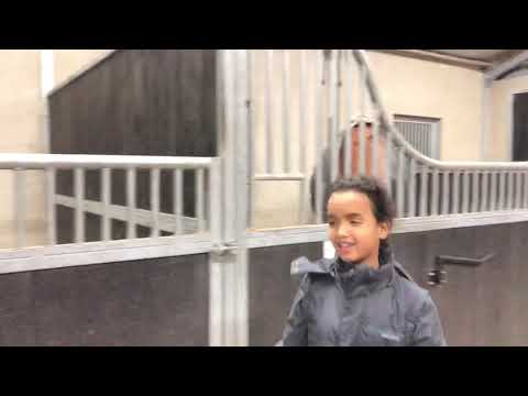 Staltour ❤️ Manege Hillegersberg