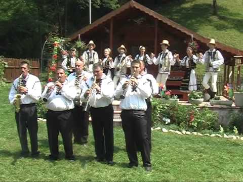 TARAFUL FRATII BRICIU JOCURI DE DOI