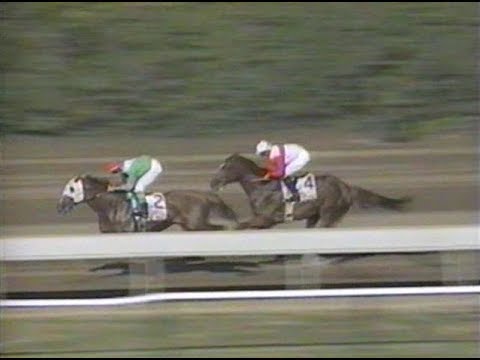 1998 Haskell Invitational Stakes
