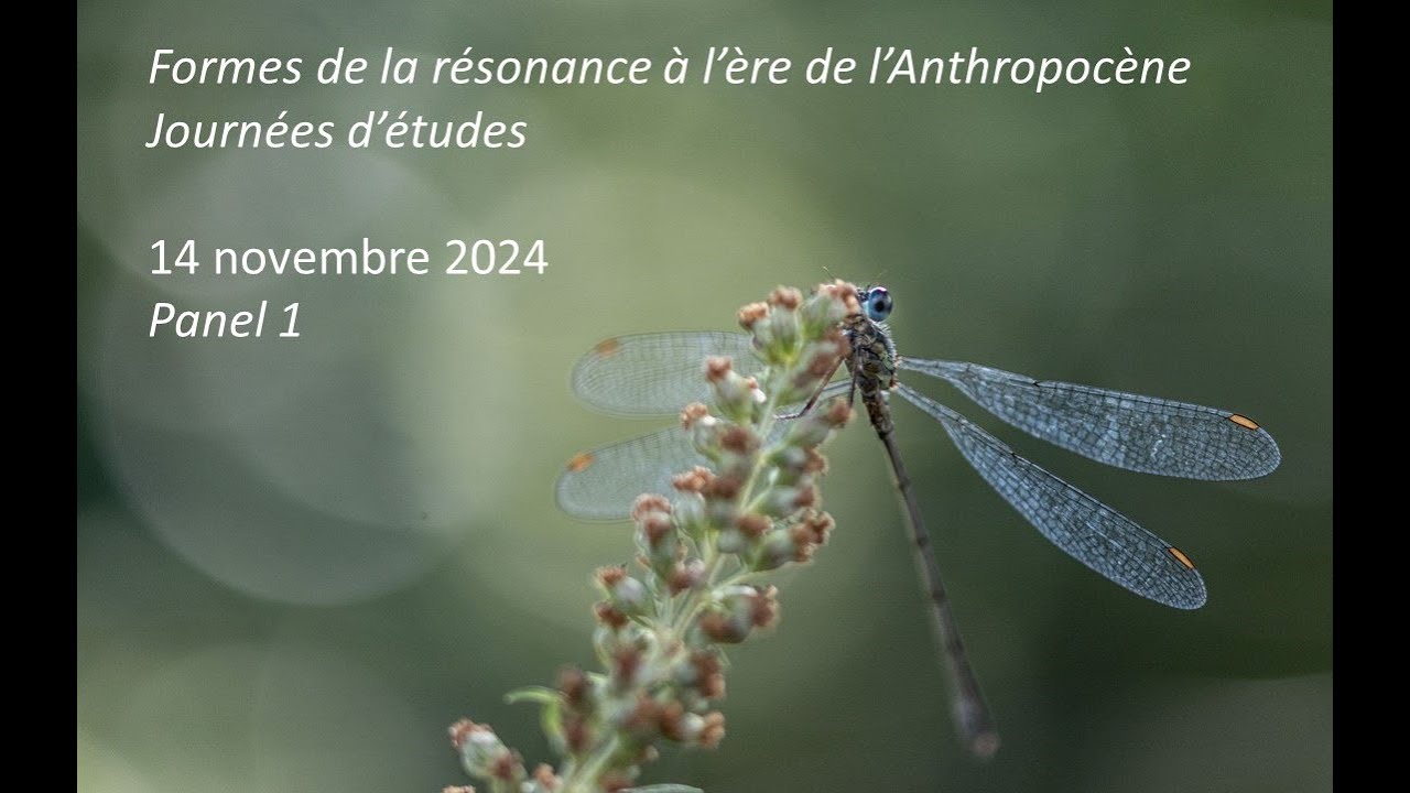 Formes de la résonance à l'ère de l'Anthropocène