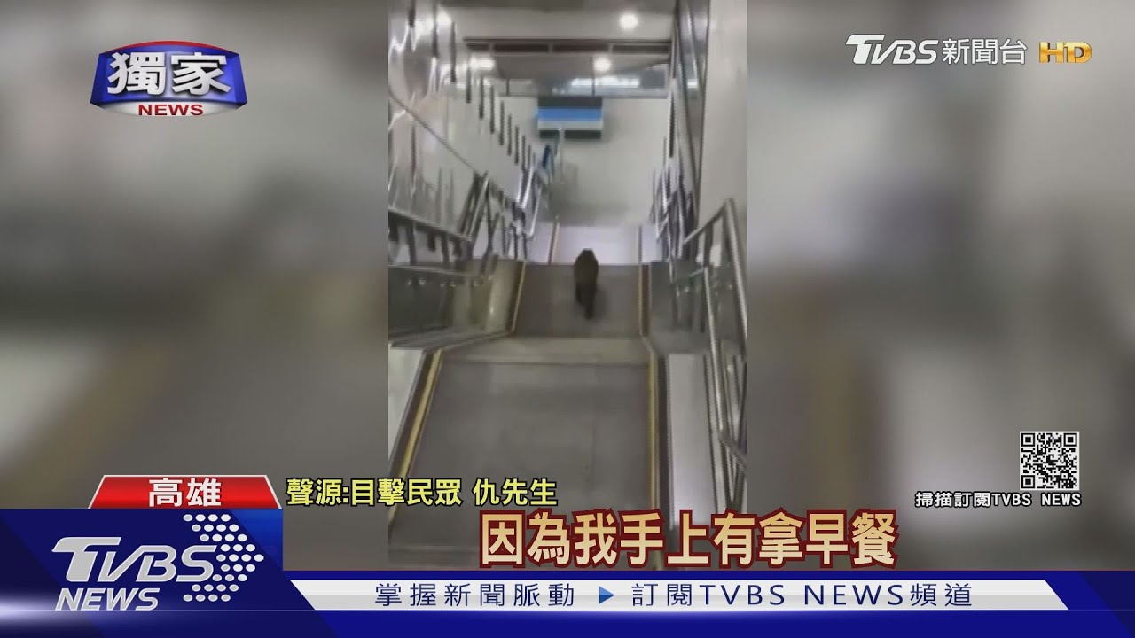 落魄猴王被驅逐？　台鐵左營站內落單趴趴走