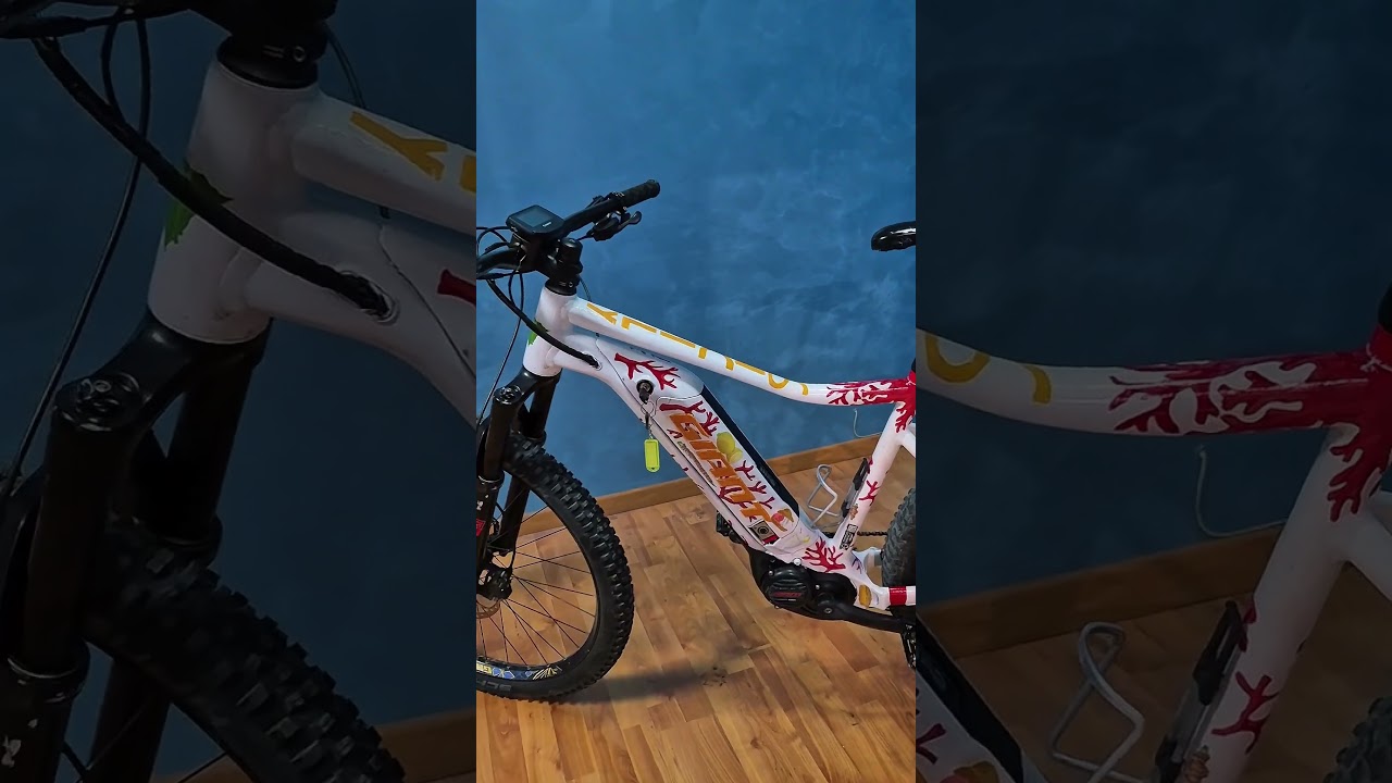 Mangia e smaltisci E-Bike MTB (167 - 184 cm)