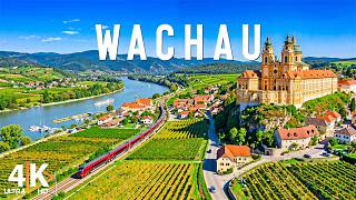 Wachau 4K 🇦🇹 Danube Valley, Melk Abbey & Austrian Vineyard Villages
