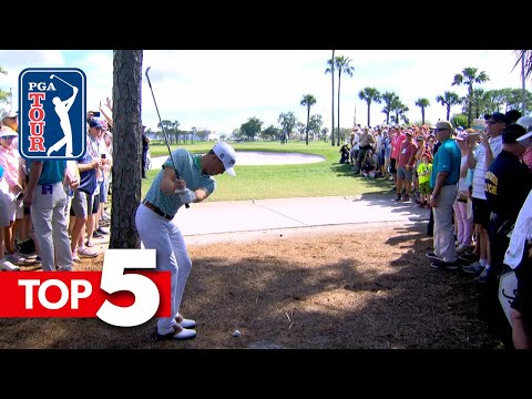 Top 5 Shots of the Week | Honda