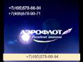 Aeroflot Steward
