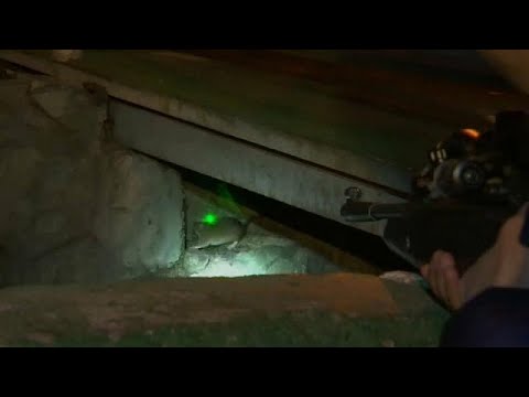 Iran: i cecchini di ratti