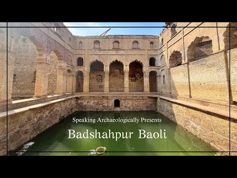 The Badshahpur Baoli, Gurugram