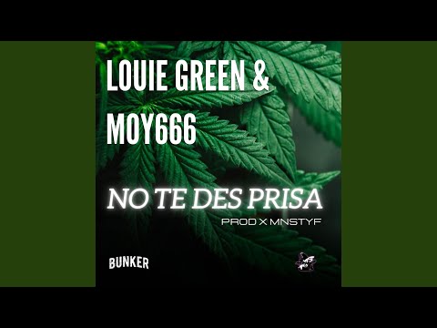 NO TE DES PRISA (feat. LOUIE GRN & moy666)