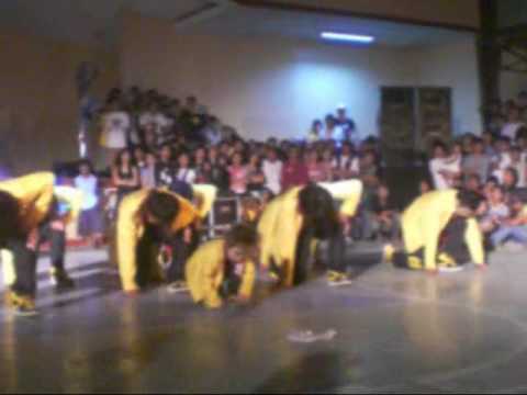 freestylers champion