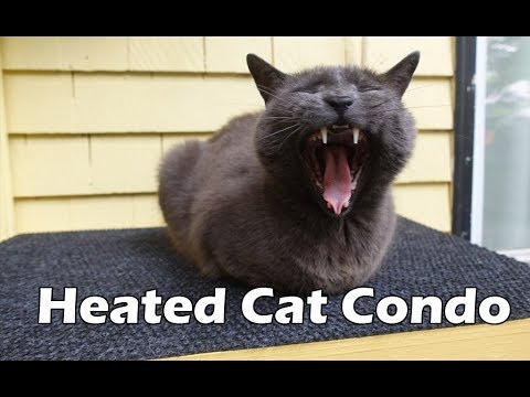 Building a Heated Winter Cat Shelter Video