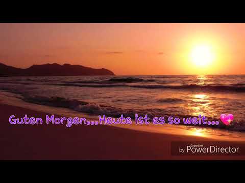 Teddyhamster 12.05.18