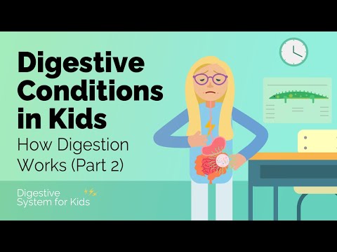 Digestive Conditions in Kids (How Digestion Works Part 2) | Digestive System for Kids
