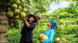 Download lagu A Day with Grandma: Coconut Harvest, Sweets & Poultry Care mp3 Download lagu A Day with Grandma: Coconut Harvest, Sweets & Poultry Care mp3