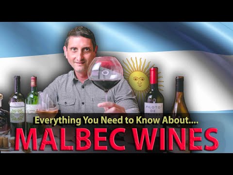 What is MALBEC? What You NEED TO KNOW about this Wine!
