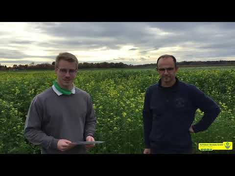 [Raiffeisen-Handels-GmbH] Feldtag 2020 - Zwischenfruchtmischungen