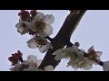 Paul Smith - Fools Rush In