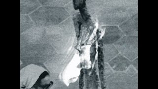 Brace/Choir - Fallmen