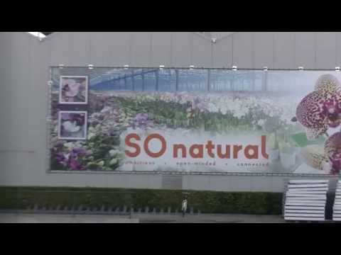 KCC op bezoek bij SO natural