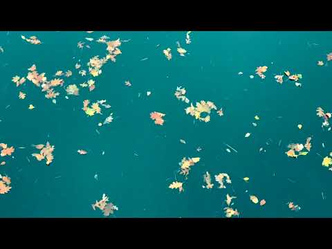 Polito Ibáñez: Hoy he vuelto a rezar #orlandoluispardolazo