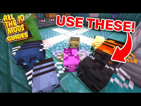 How to use PRODUCTIVE BEES in All The Mods 10