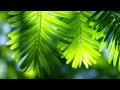 OST Beautiful Days - Promise - Zero (약속 - 제로 ...