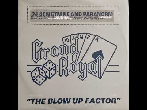 DJ Strictnine And Paranorm - Blow Up Factor Vol. 2 (1999)
