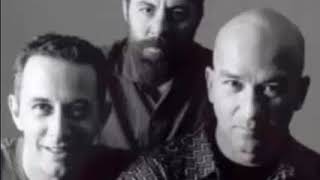 Os Paralamas do Sucesso - O Trem da Juventude (cover)