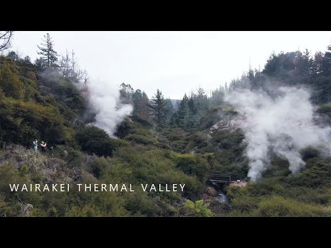 Vale Termal Wairakei.Taupo