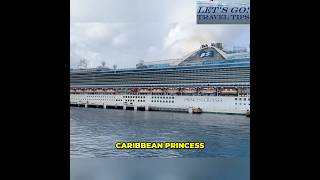 Caribbean Princess Power Outage: What Happened? #shorts