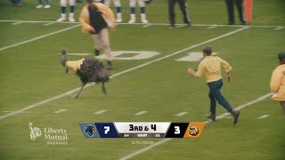  Streaker | LiMu Emu & Doug