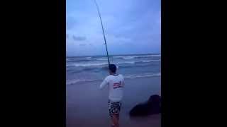 preview picture of video 'bagre blanco 2kg boca de yaracuy pesca extrema vzla(san diego)'
