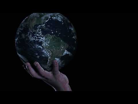 Danny Peck Whole Wide World