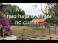 NA ALEGRIA OU NA DOR JOTA NETO