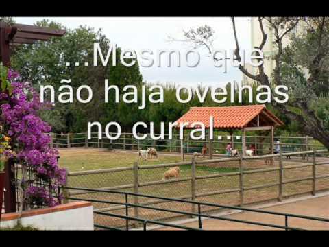 Na Alegria Ou Na Dor video