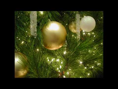 Riprap sin.karini attamo  (cover song lyrics video)