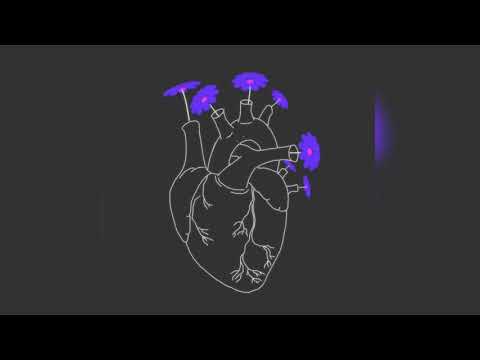 Video thumbnail _5-lLitrp6E