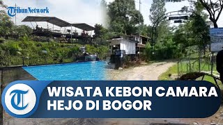 Bogor Hari Ini: Nikmati Berkemah dan Berenang di Bawah Kaki Gunung Salak di Kebon Camara Hejo Bogor