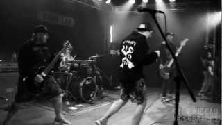 Your Demise - Shine On (LIVE)