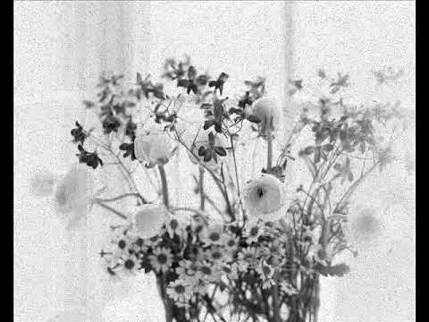 Vasilija Radojcic   More, bel peline!