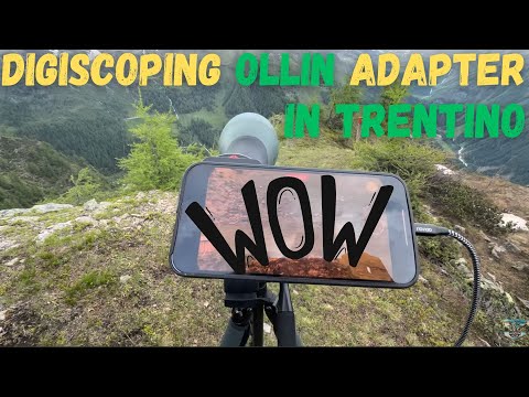 Day of sightings in Val di Rabbi | Swarovski Digiscoping and Defender