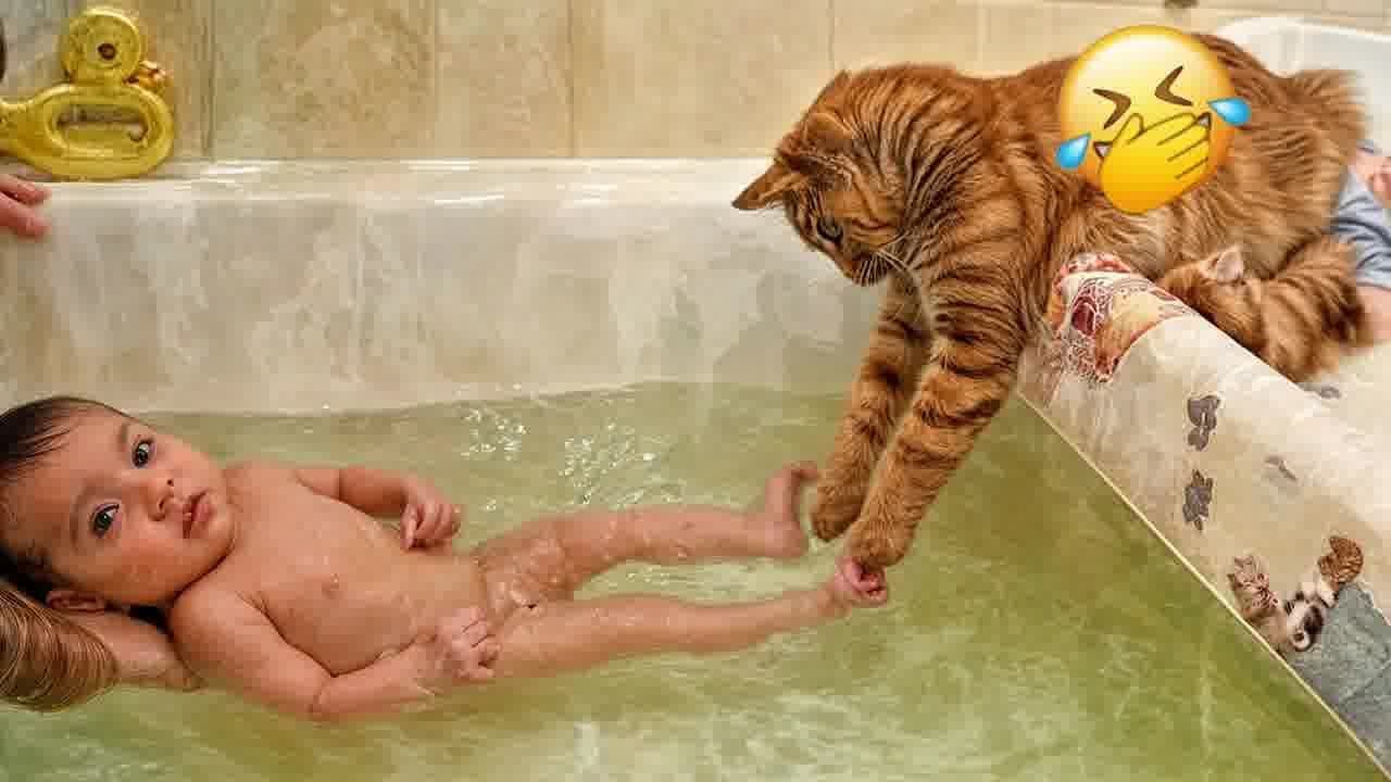 Best Funny Dogs and Cats Videos😍Funniest Animal videos 2024😹🐶