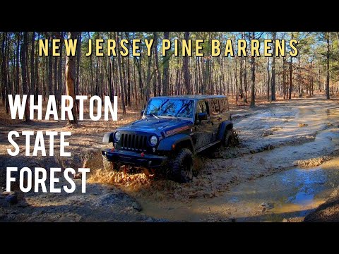 Wharton State Forest - Exploring the New Jersey Pine Barrens Overland - Jeep JK Rubicon Recon