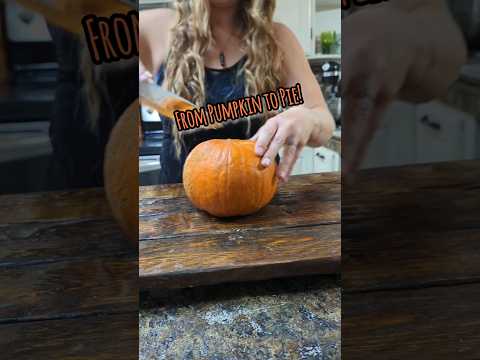 #pumpkin #pie #homemade #fromscratch #homecook #homesteading #homestead #recipe #delicious