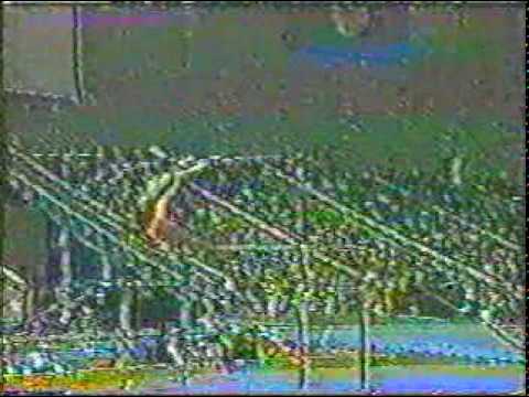 Wu Jiani 1981 Worlds Bars