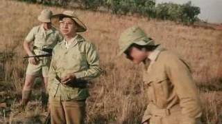 Download lagu Bud Spencer & Terence Hill - Das Krokodil und sein Nilpferd - Karate Chinese mp3