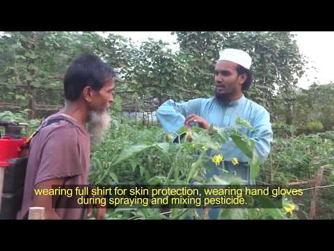 নিরাপদ বালাইনাশক ব্যবহার কৌশলঃ পর্ব-১