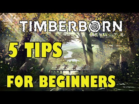 5 Tips for Beginners - Timberborn